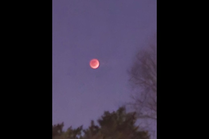 Луна. Фото Екатерины Андреевой