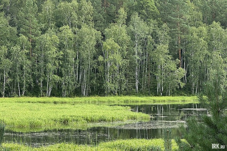 Залив Узкий летом. Фото очевидцев