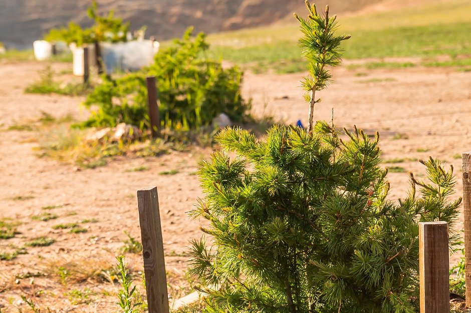 Фото БФ «Подари Планете Жизнь» Фото БФ «Подари Планете Жизнь»
