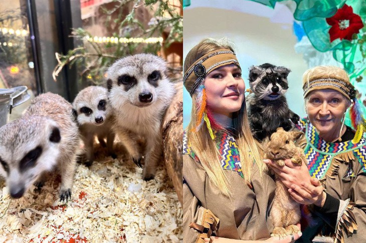 Фото ООО «Сибирский зоопарк»