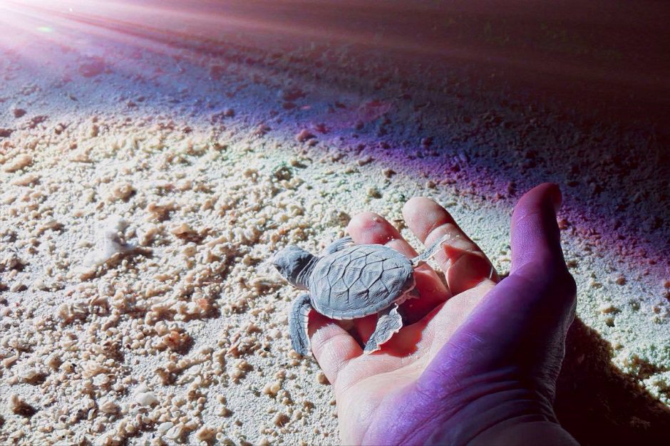 Фото предоставлено АНО ЦРЛО «ТЕРРИТОРИЯ РОСТА»