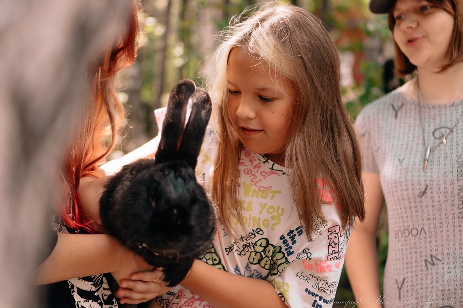 Фото ОГБУСО "СОЦИАЛЬНО-ОЗДОРОВИТЕЛЬНЫЙ ЦЕНТР «ОЛХИНСКИЙ»