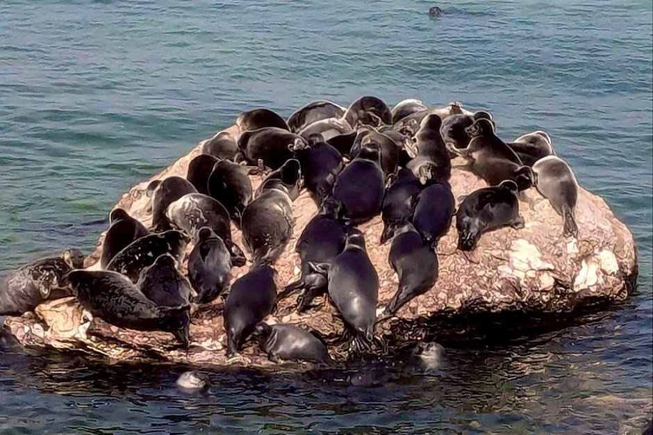 Фото предоставлено АНО ЦРЛО «ТЕРРИТОРИЯ РОСТА»