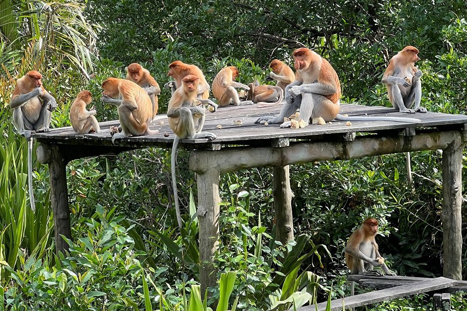 Фото предоставлено АНО ЦРЛО «ТЕРРИТОРИЯ РОСТА»