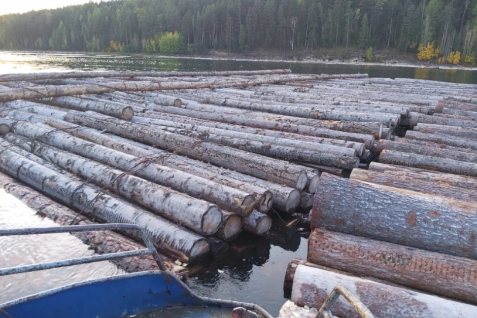 Древесина. Фото пресс-службы ГУ МВД по Иркутской области