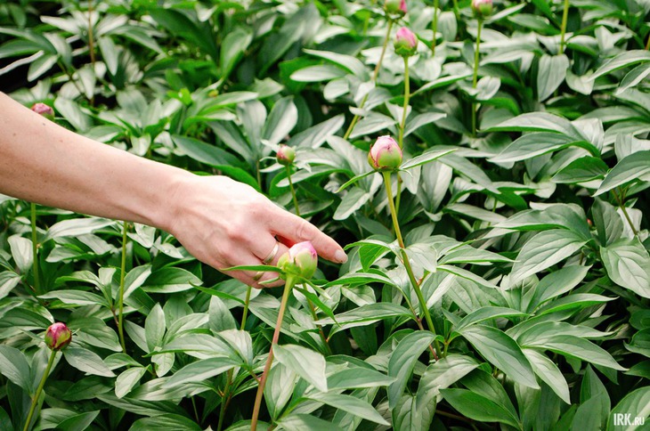 Фото: Кристина Митина