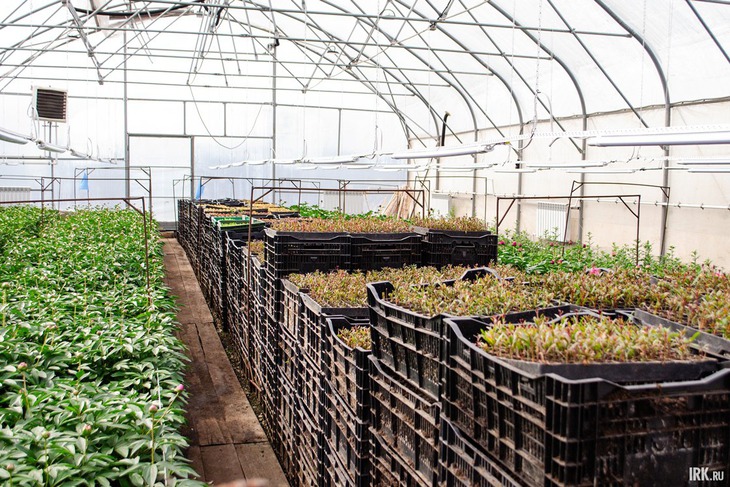 Фото: Кристина Митина