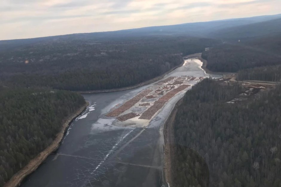 Древесина. Фото пресс-службы ГУ МВД по Иркутской области
