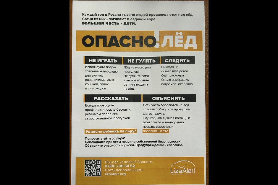 Листовки предоставлены отрядом «ЛизаАлерт»