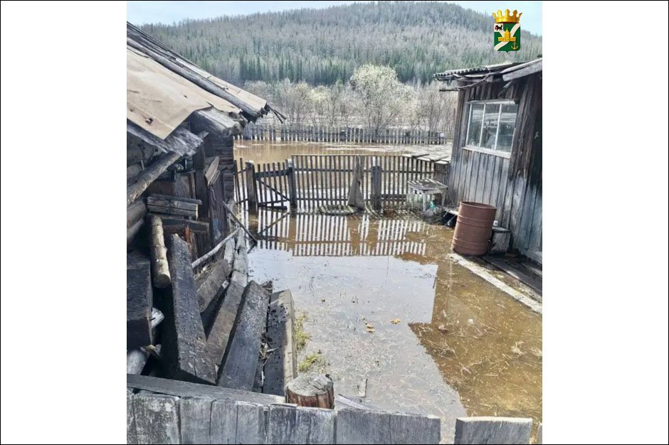 Фото из телеграм-канала мэра УКМО Сергея Анисимова