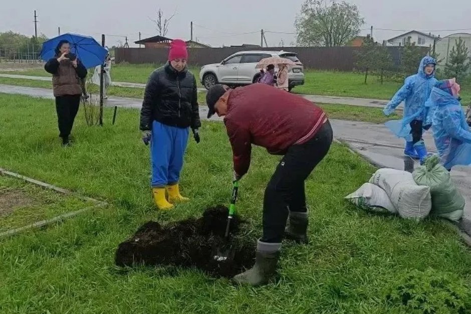 Посадка деревьев. Фото пресс-службы администрации Иркутска Посадка деревьев. Фото пресс-службы администрации Иркутска