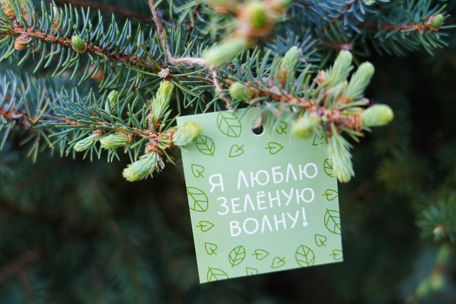 Фото фонда Олега Дерипаска «Вольное Дело»