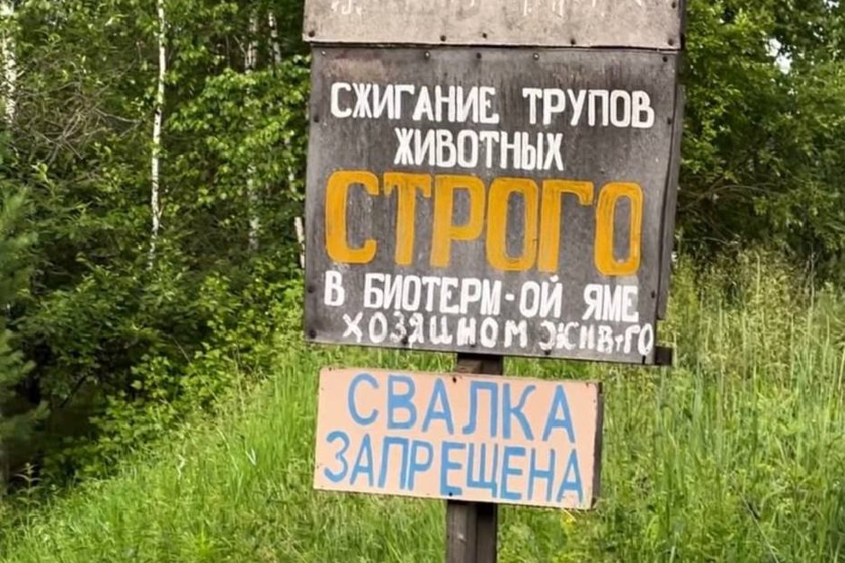 Знак «Свалка запрещена». Фото Анны Ивановой