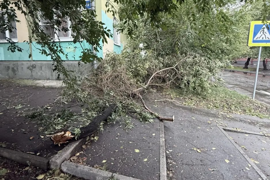 Фото предоставлено очевидцами