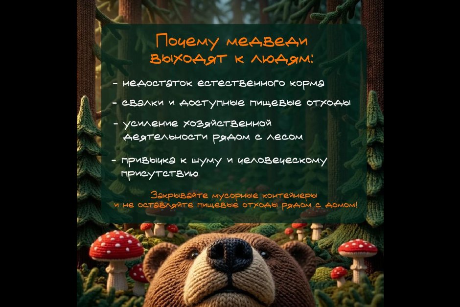 Изображения из канала правительства Иркутской области в «Макс»