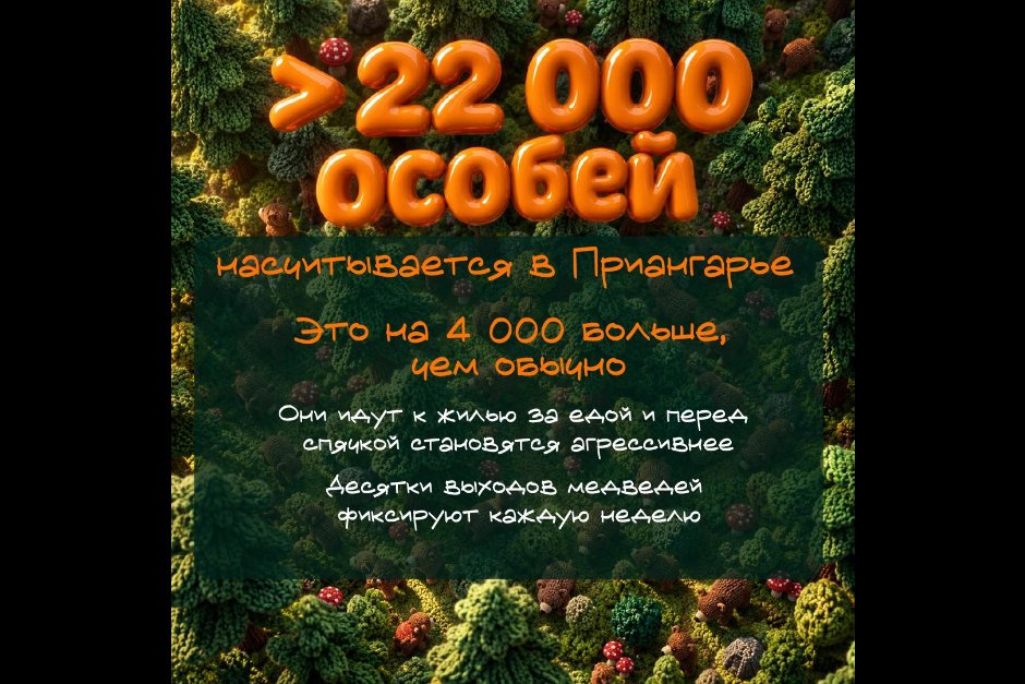 Изображения из канала правительства Иркутской области в «Макс»