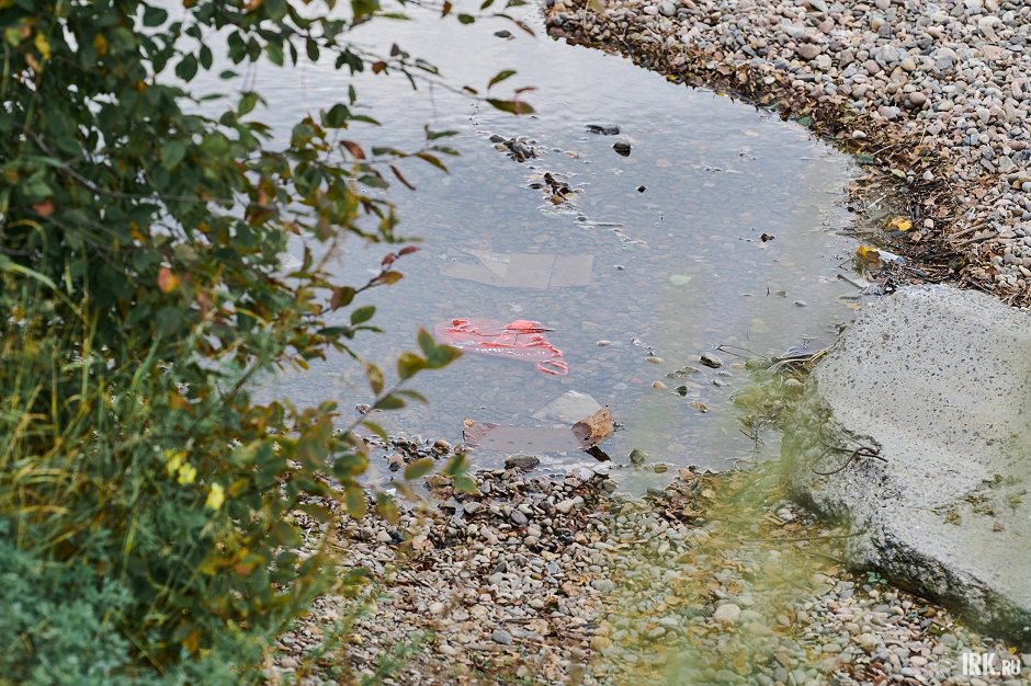 В воде валяется пакет