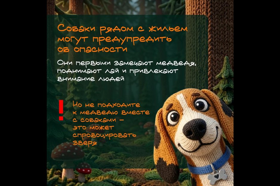 Изображения из канала правительства Иркутской области в «Макс»