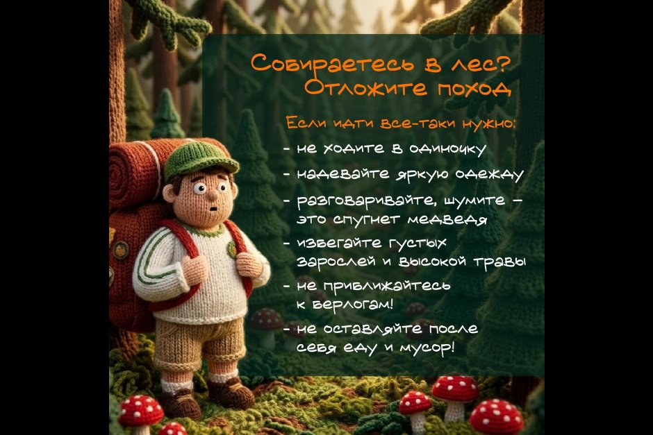 Изображения из канала правительства Иркутской области в «Макс»
