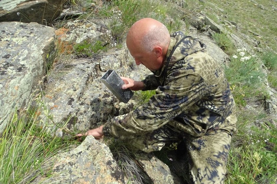 Фото Светланы Артемьевой и Павла Задубровского