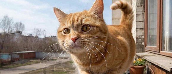 Как провести выходные: обзор афиши Иркутска с 13 по 15 марта