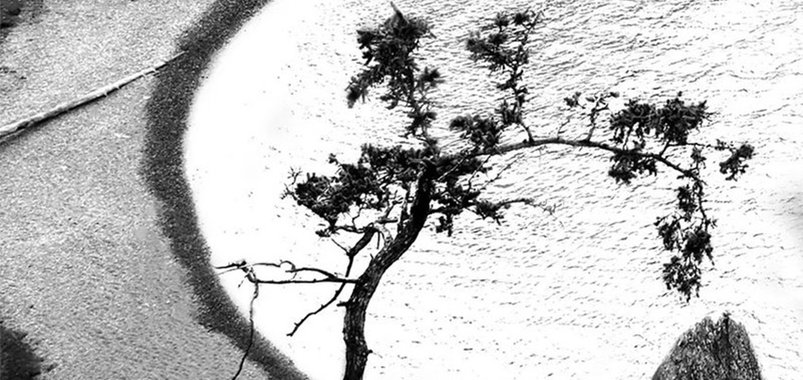 «Фотохромная идиллия». Выставка фотографа Варвары Штерн