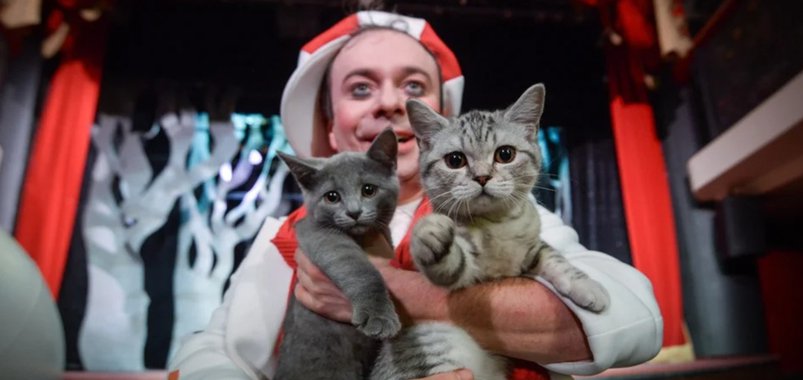 Дмитрий Куклачёв. Спектакль "Котобум"