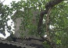 Поваленное дерево. Фото АС Байкал ТВ