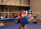 Боксеры. Фото с сайта superboxing.ru.