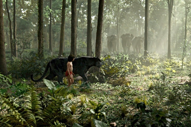 Кадр из фильма «Книга Джунглей». Фото с сайта www.kinopoisk.ru