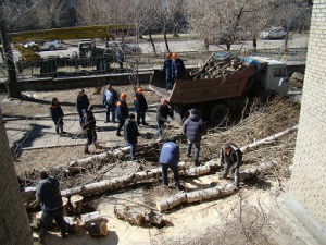 Спиливание тополей. Фото с сайта www.angarsk-adm.ru