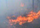 Лесной пожар в Иркутской области. Фото из архива АС Байкал ТВ