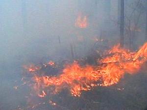 Лесной пожар в Иркутской области. Фото из архива АС Байкал ТВ