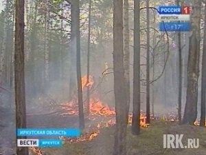 Лесной пожар. Фото из архива «Вести-Иркутск»