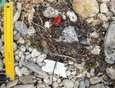 18 июня 2011 года. Заплесковая зона бухты Хоргойская острова Ольхон. Сильное загрязнение бытовым мусором, остатками лесных пожаров на материковом побережье.