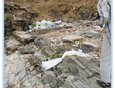 18 июня 2011 года. Заплесковая зона бухты Хоргойская острова Ольхон. Сильное загрязнение бытовым мусором.