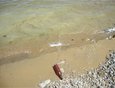 19 июня 2011 года. Заплесковая зона бухты Фертик Чивыркуйского залива. Находки бытового мусора немногочисленны.