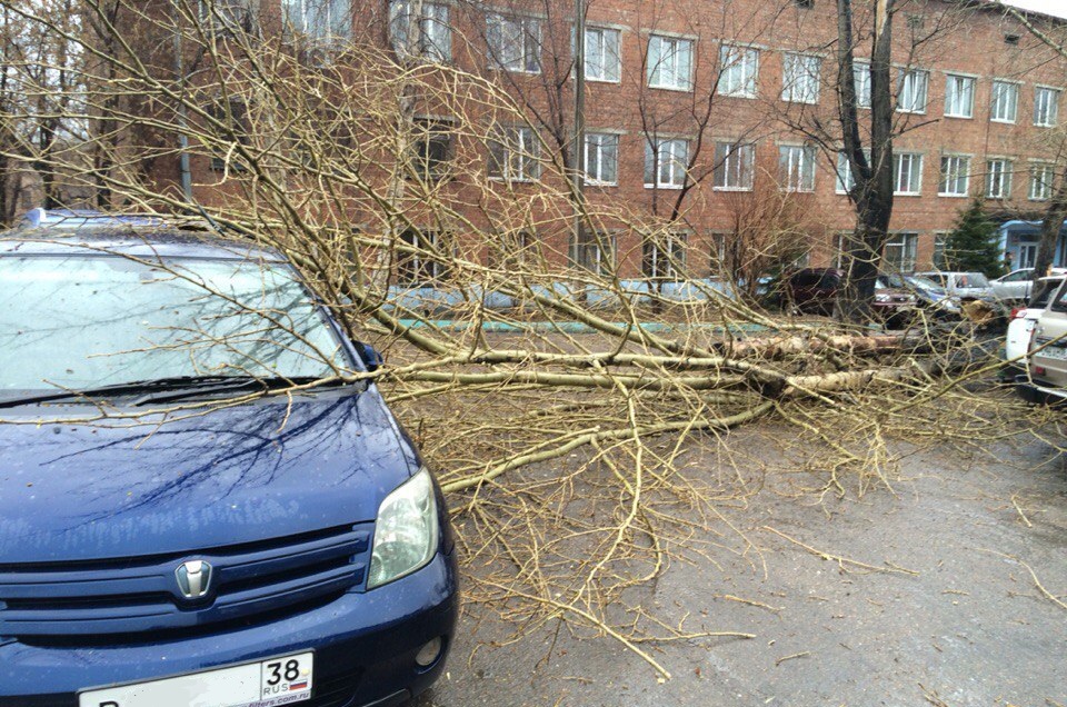 У поликлиники Иркутского аэропорта. Фото «Подслушано Иркутск»