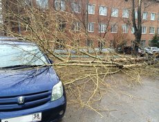 У поликлиники Иркутского аэропорта. Фото «Подслушано Иркутск»