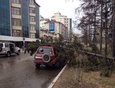 Бульвар Гагарина. Фото аварийно-спасательной службы Иркутска