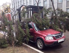 Бульвар Гагарина. Фото аварийно-спасательной службы Иркутска