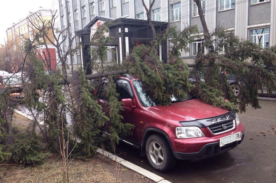 Бульвар Гагарина. Фото аварийно-спасательной службы Иркутска