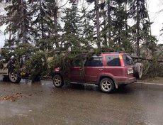 Бульвар Гагарина. Фото аварийно-спасательной службы Иркутска