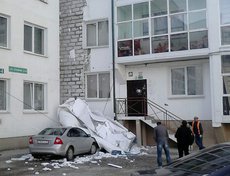 Зеленый берег. Фото Ирины Викуловой.