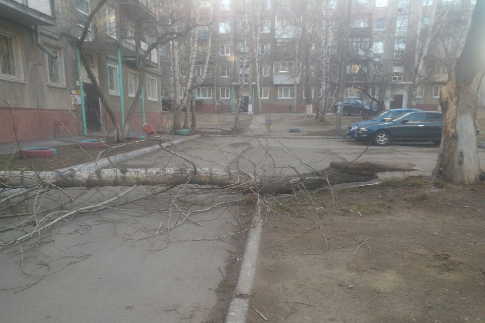 Улица Розы Люксембург, 335. Фото Анастасии Симбиревой.