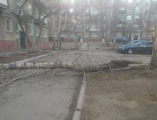 Улица Розы Люксембург, 335. Фото Анастасии Симбиревой.