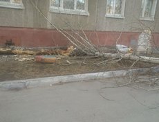 Улица Розы Люксембург, 335. Фото Анастасии Симбиревой.