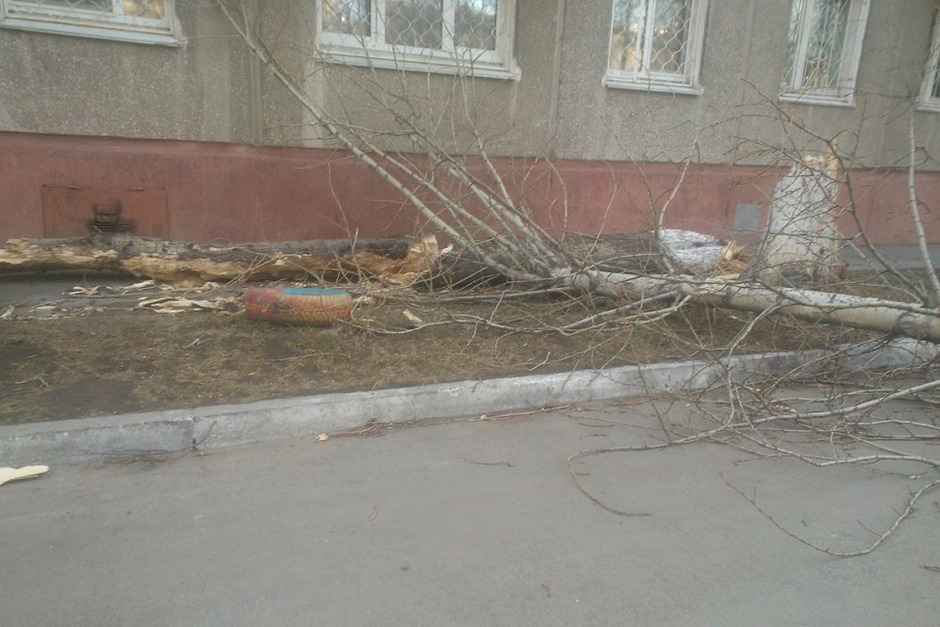 Улица Розы Люксембург, 335. Фото Анастасии Симбиревой.