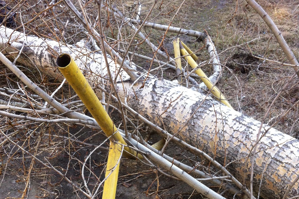 Улица Лермонтова, 269. Фото Анастасии.