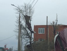 Фото Анастасии Дремовой